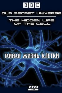 Внутренняя вселенная: Тайная жизнь клетки (2012)