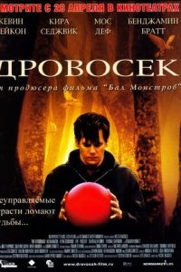   Дровосек (2004)